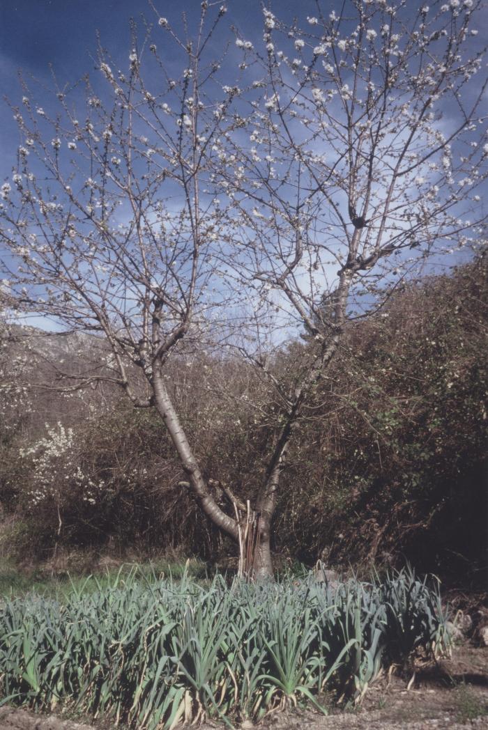 [VIDE]