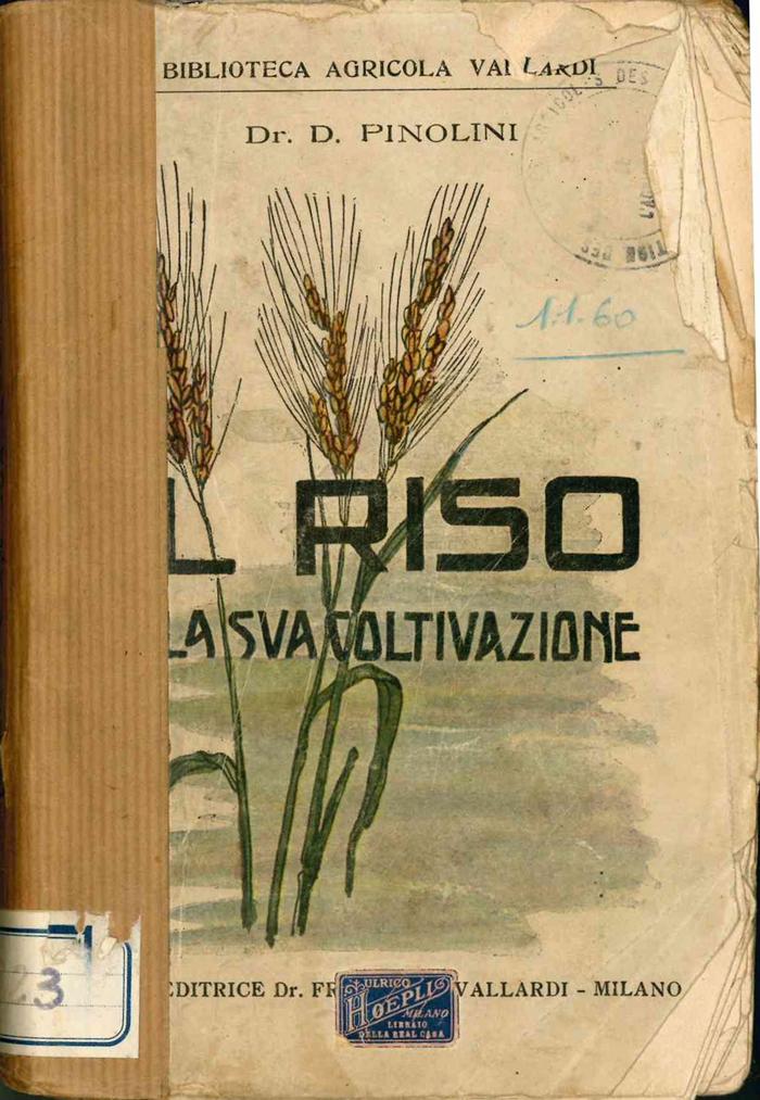 Il riso : La sua coltivazione (Z000100-000001)