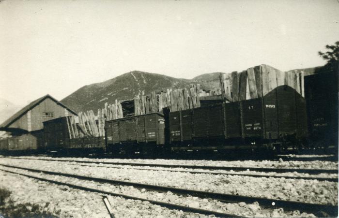 Wagons de marchandises transportant des madriers en gare de triage de Digne-les-Bains