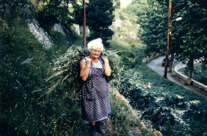 Transport de fourrage.