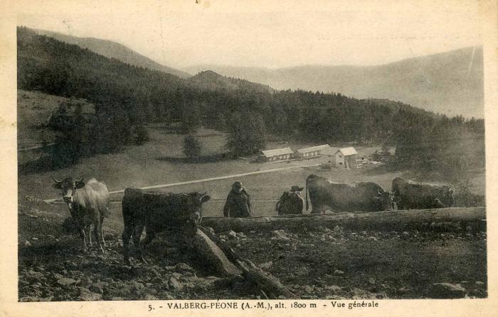 5. - VALBERG-PEONE (A. M.), alt. 1800 m. - Vue générale